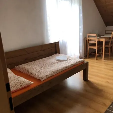 Homestay szállás Rasovka - Bily Dum *